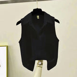 Sleeveless Chiffon Crepe Blouse