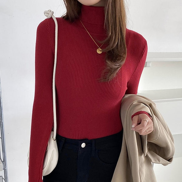 Women Fall Turtleneck Sweater