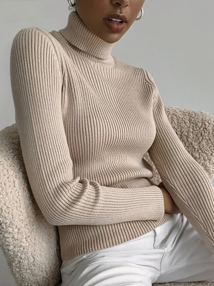 Women Fall Turtleneck Sweater