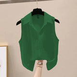 Sleeveless Chiffon Crepe Blouse