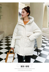 Down Padded Winter Jacket