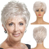 Synthetic Hair Silver Grey Wigs