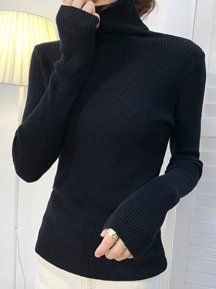 Women Fall Turtleneck Sweater